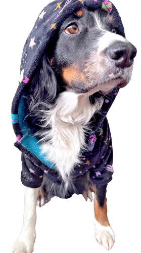 Dog oodie original - dog,