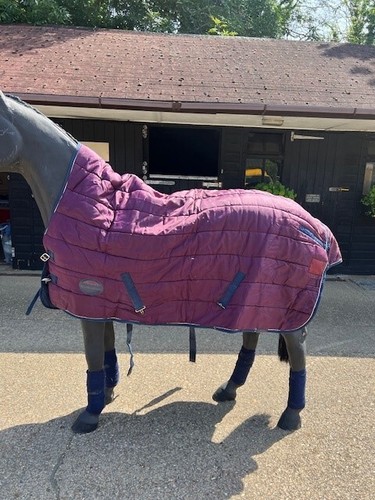 Weatherbeeta half neck