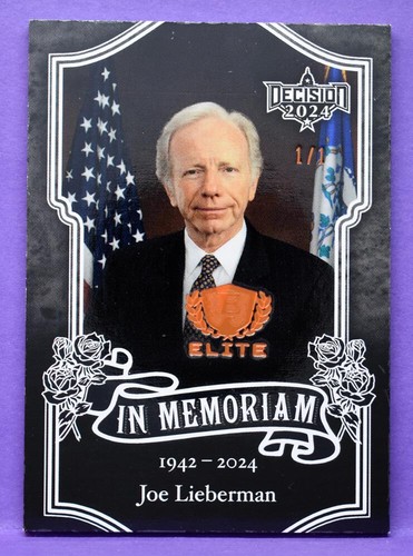 Decision 2024 rare orange - 1/1,