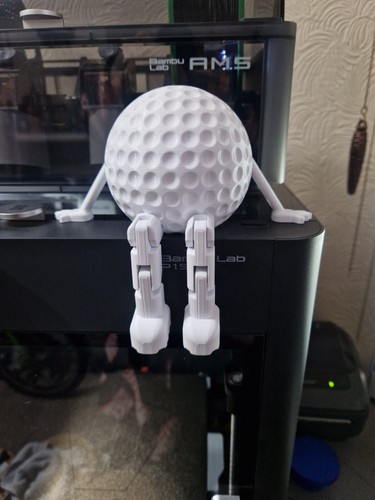 Printed golf ball buddy - 3d,