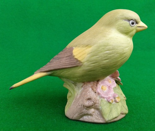 Aynsley greenfinch wild bird - aynsley,
