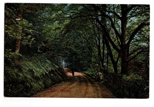 Aberystwyth cwm woods - cwm,