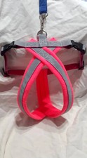Reflective Fleece-Lined Dog