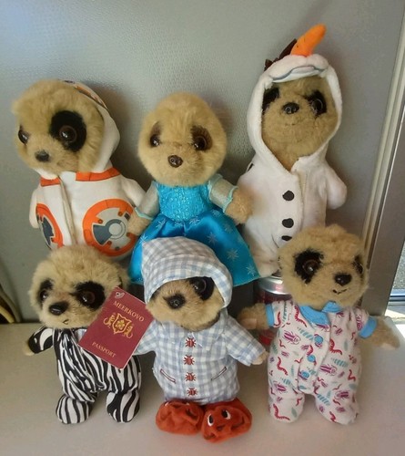 Meerkat pups six plush - six,