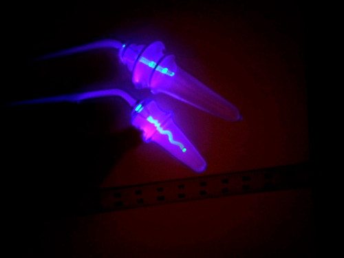Violet wand ray - wand, rare