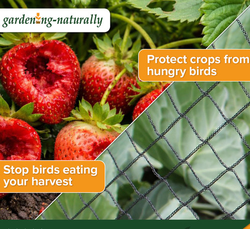 Anti bird crop veg - bird,