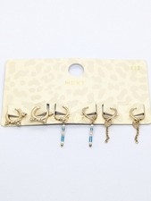 Next Set of Gold-tone Huggie