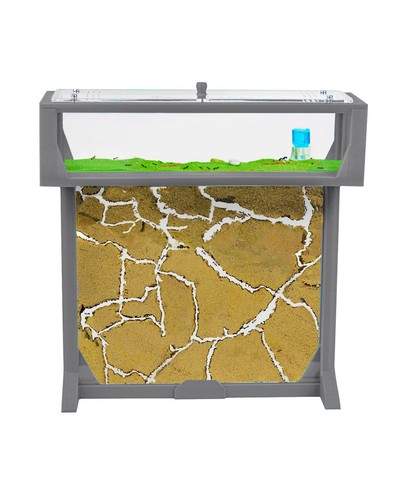 Ant farm tbig - 3d, free