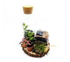 DIY 1L Cork Top Terrarium • Fairy Garden • Closed Terrarium Kit