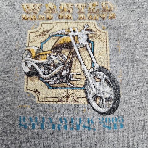 Vintage 2005 sturgis bike - vintage,