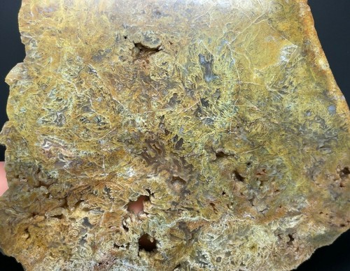 Large moss agate geode - large,