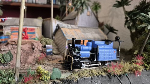 Oo9 darjeeling and himalayan - oo9,