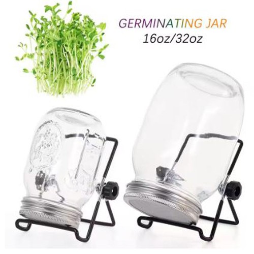 Seed sprouting mason jar - sprouting,