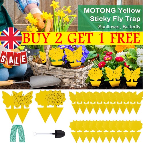 41pcs fly plants indoor yellow - fly,