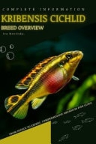 Kribensis cichlid from novice - from,
