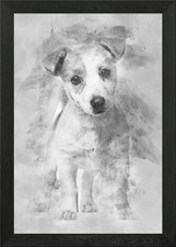 Jack Russell puppy 3 month