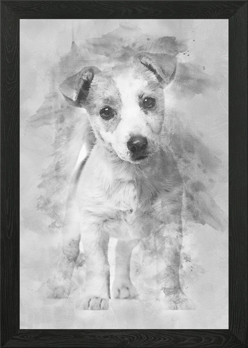 Jack russell puppy month - russell, 3