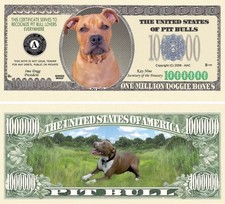 Pack of 50 Pit Bull Terrier