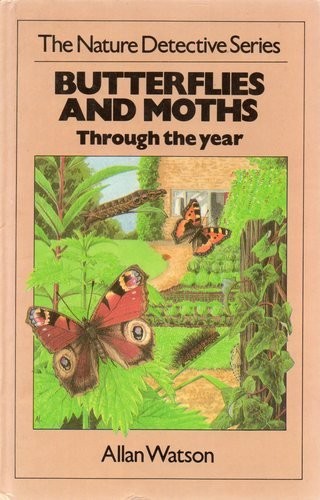 Butterflies and moths nature - butterflies,