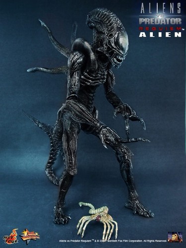 Ultra rare sideshow alien - rare,