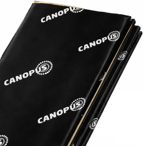 Canopus professional sound - professional,