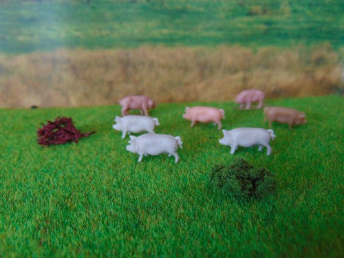Model railway pigs - 7, oo