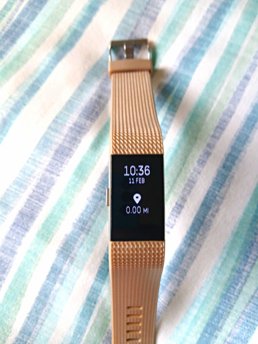 Fitbit wrist activity - wrist,