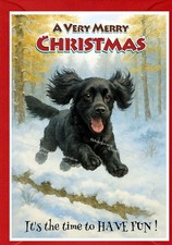 Cocker Spaniel Black Dog