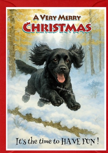 Cocker spaniel black - cocker,