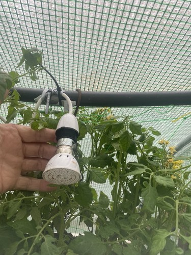Indoor plant grow lights full - indoor,
