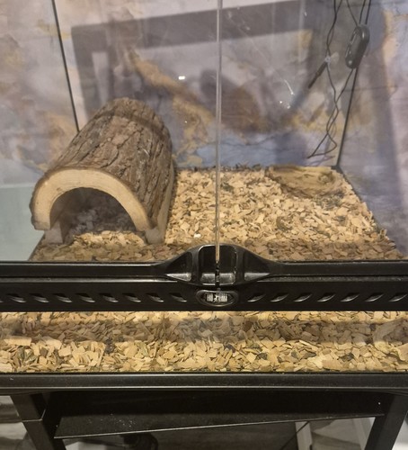 Glass reptile vivarium - glass,