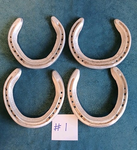 Used aluminium racehorse - 4,