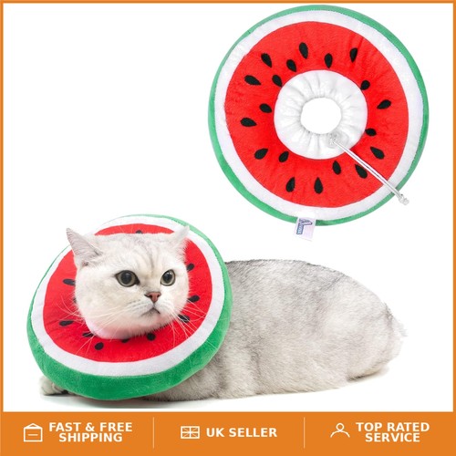 Lightweight adjustable cat - lightweight,