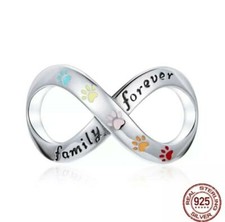 💖 Infinity Dog Cat Charm