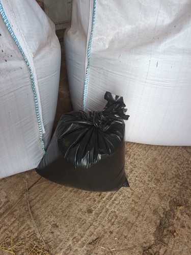 Stubble turnip seed 20kg - seed,