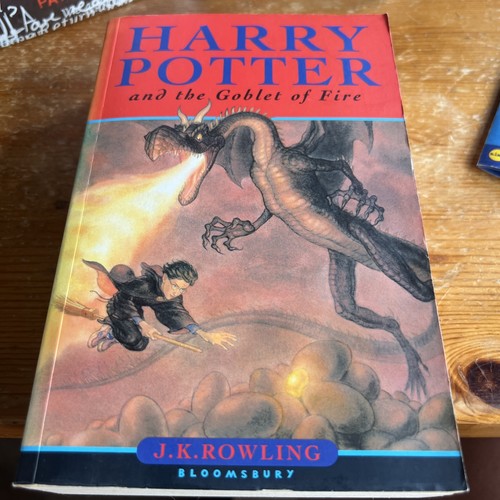 Harry potter the goblet - harry,