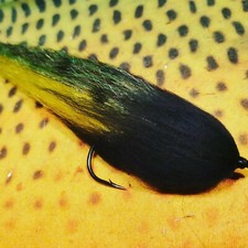 PIKE /PREDATOR- black head