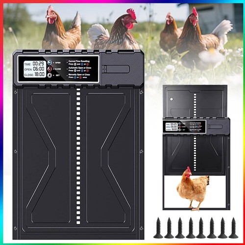 Automatic chicken duck goose - chicken,