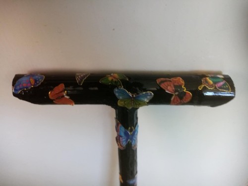 Walking stick sunflower - , stem
