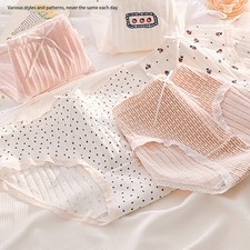 Comfortable Mid Waist Ladies Underwear Breathable and Seamless for All Seasons