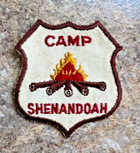 Vintage boy scout camp - vintage,