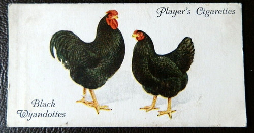 John player sons - &, 1931