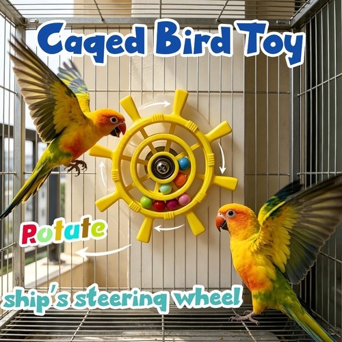 Small birds colorful - small, spinning