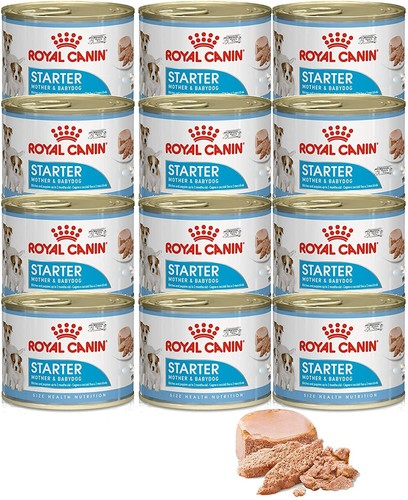 Tray royal canin starter - 12,