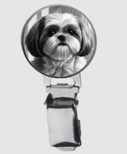 shitzu  dog on DOME Dog Show