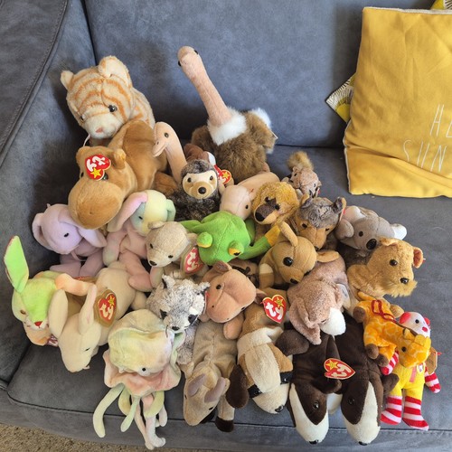 Large beanie baby - large,