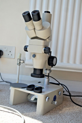 Nikon smz trinocular stereo - nikon,