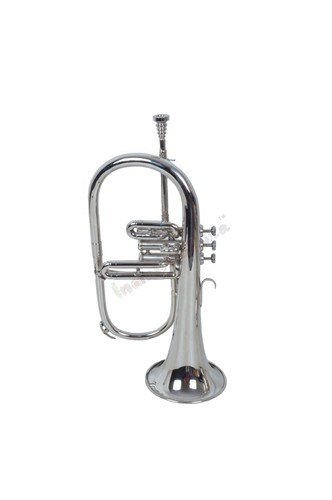 India musical instrument - india,