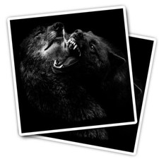 2x Vinyl Stickers Fierce Black Wolves Wolf Dog Fight #52841