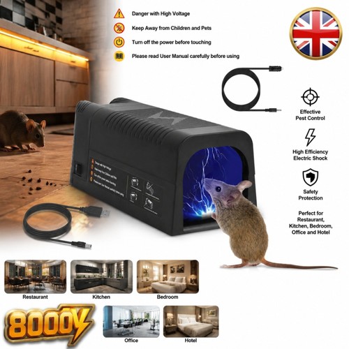 Mouse trap control - control, rat